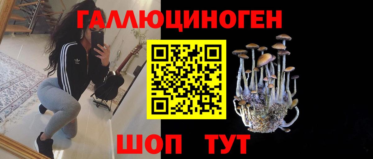Ижевск  Псилоцибиновые грибы Psilocybine cubensis  Вход с VPN 